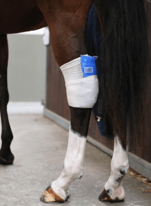 Hovedbilde Kentucky Tendon Grip Sock