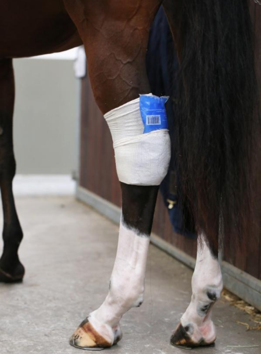 Kentucky Tendon Grip Sock