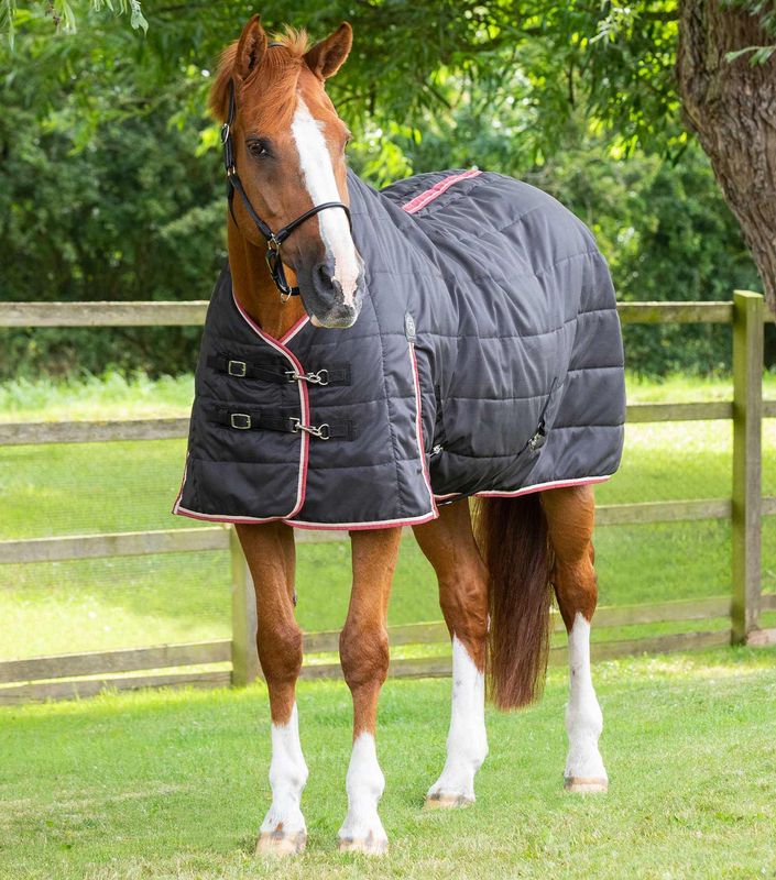 PE Garissa Stable Rug 100g