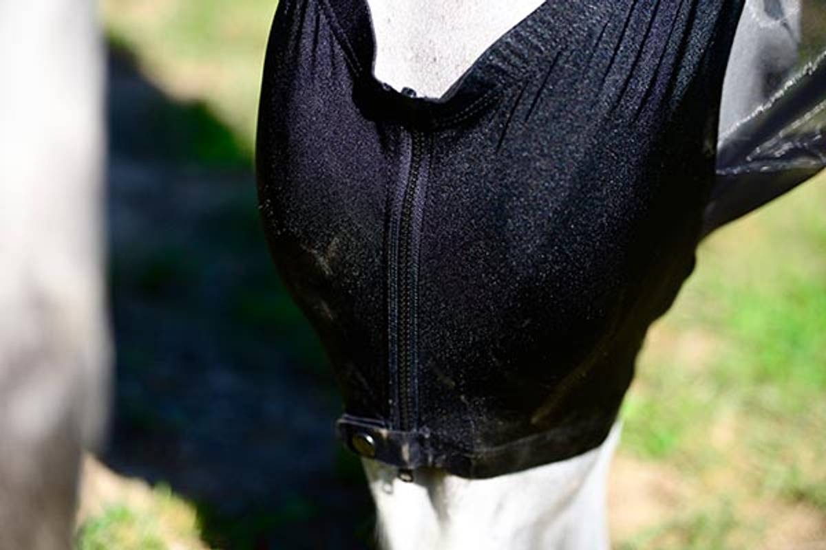 Kentucky Fly Mask Slim Fit Svart
