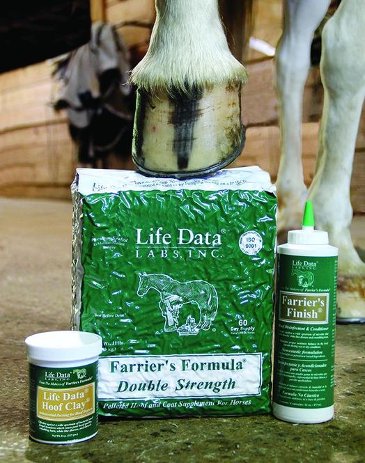 Hovedbilde Life Data Hoof Clay 283g