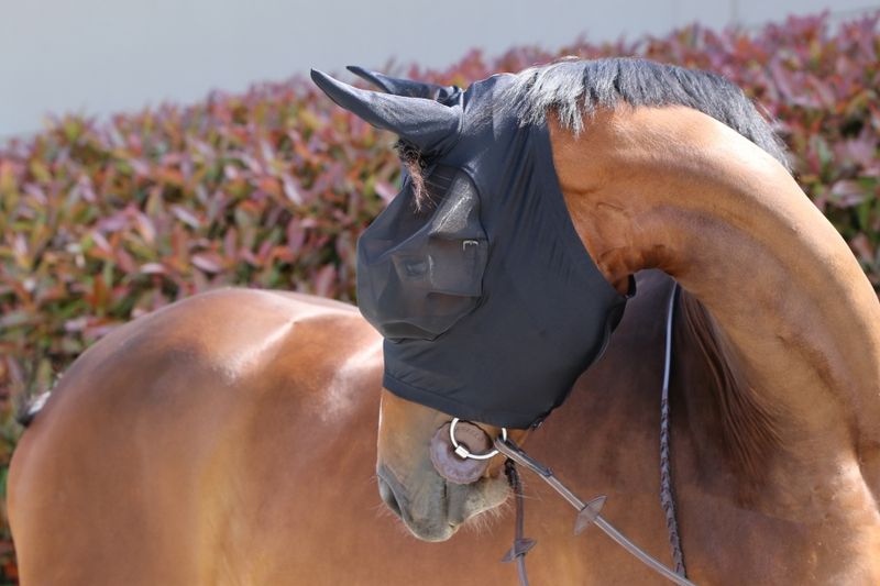 Kentucky Fly Mask Slim Fit Svart