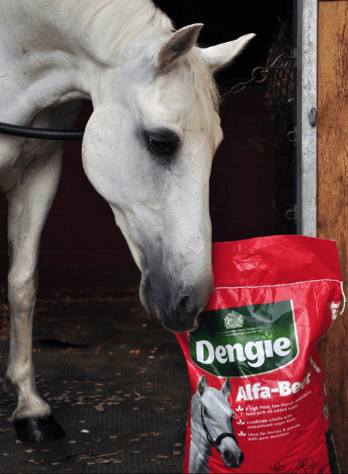 Hovedbilde Dengie Alfa Beet 20kg