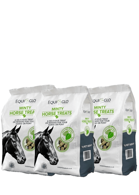 Hovedbilde EQUIGLO Minty hestegodbiter 1 kg x 3