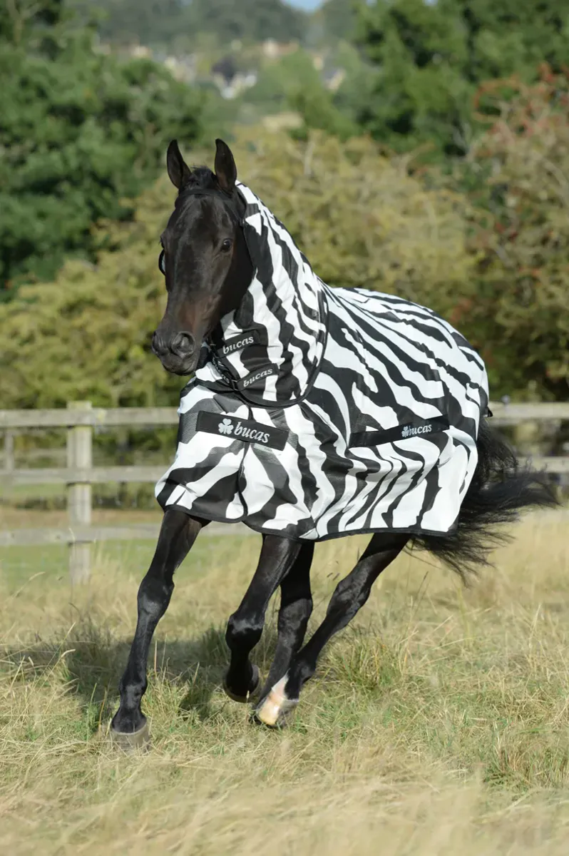 Bucas Buzz-Off Zebra Full-Neck