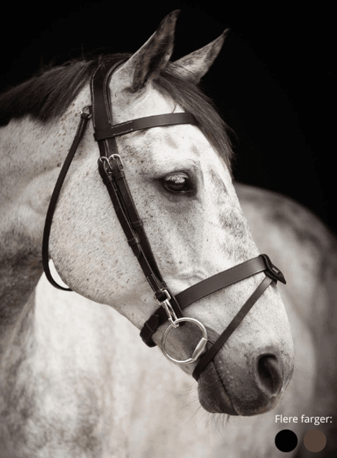 Hovedbilde Hodelag -Trainer-
