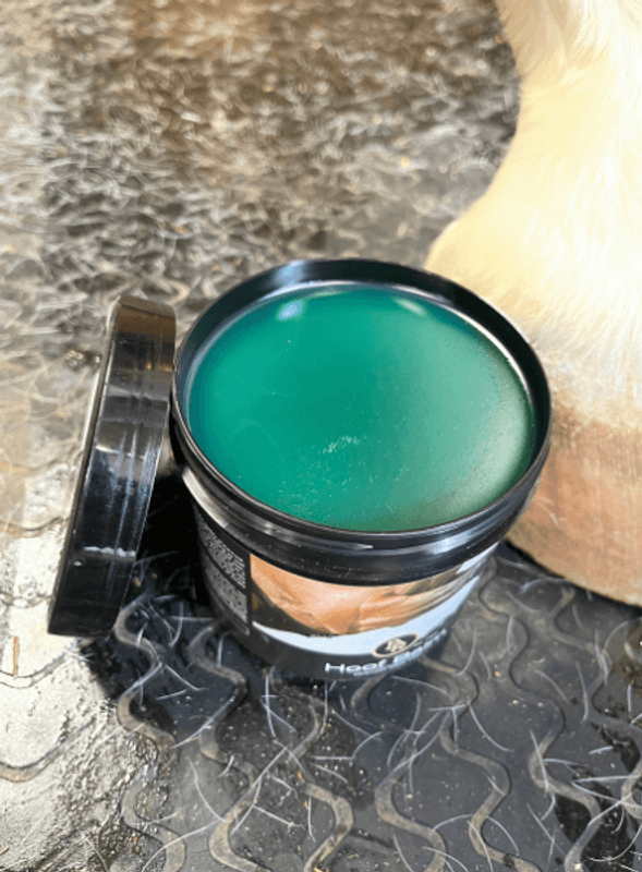 BR Grooming Hoof Balm med laurbærolje – For sterke, sunne og glansfulle høver