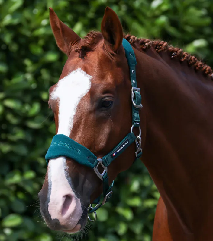 PE Fleece Padded Head Collar with Lead Rope Green