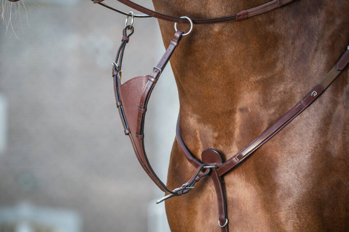 Dyón Soft Bib Martingale Attachment New English Collection