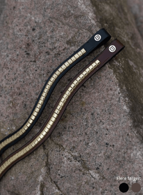 Hovedbilde Cambridge Clincher Pannereim