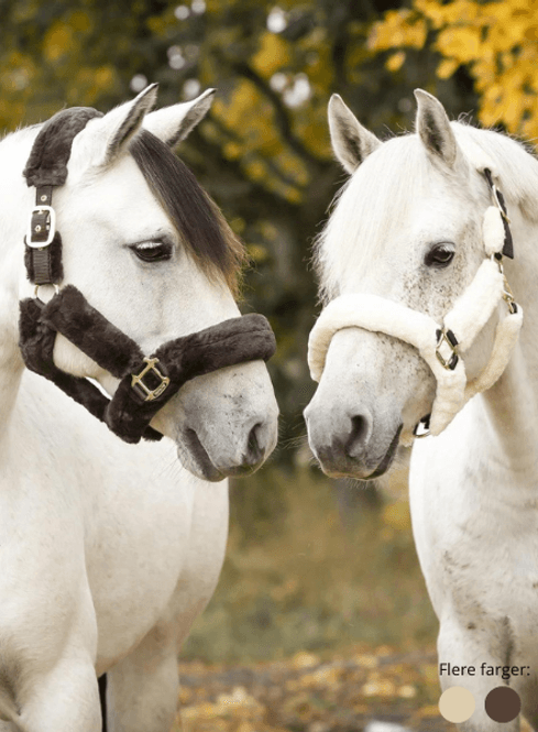 Hovedbilde Grime -Cozy-