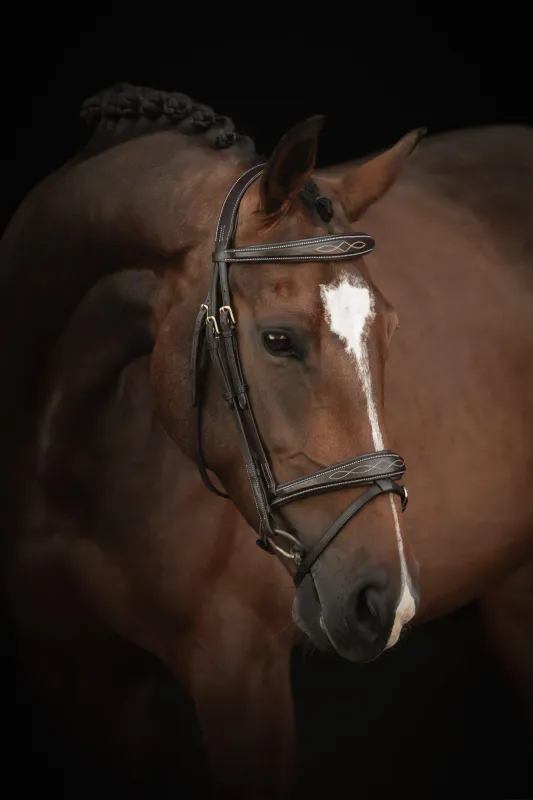 Hodelag Supreme -Fancy-