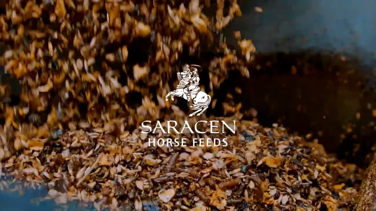 Kentucky Grooming Deluxe