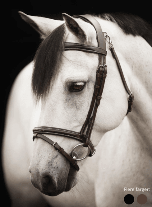 Hovedbilde Hodelag -Fancy-