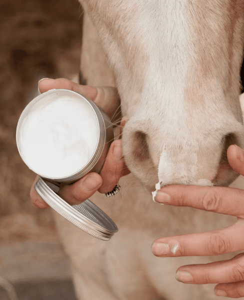 Hovedbilde Kentucky Grooming Deluxe Sunblock