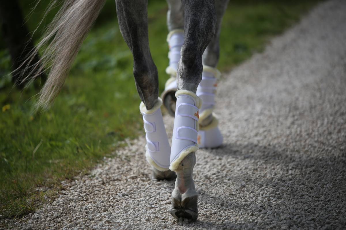 Kentucky Turnout Boots Leather Sheepskin Hind