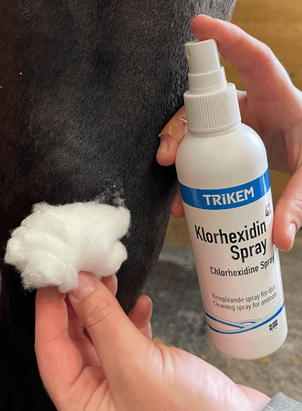 Trikem Klorhexidinspray 200ml